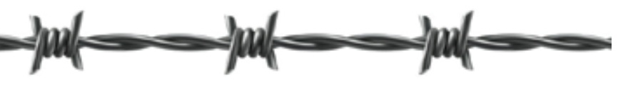 GI barbed wire showing repeated barb spacing